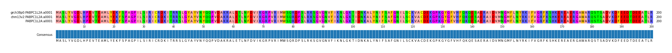 Multiple Alignments (by translate haplotype similarity)