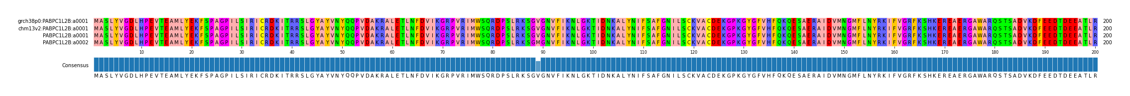 Multiple Alignments (by translate haplotype similarity)