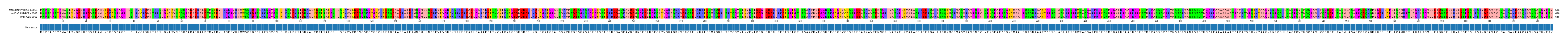 Multiple Alignments (by translate haplotype similarity)