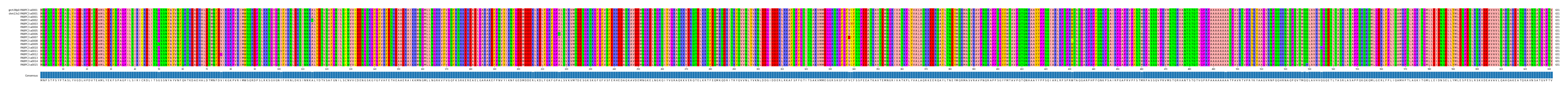 Multiple Alignments (by translate haplotype frequency)
