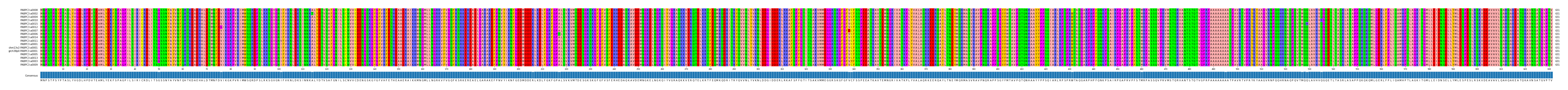 Multiple Alignments (by translate haplotype similarity)