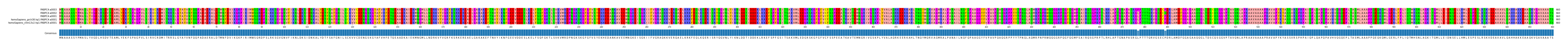 Multiple Alignments (by translate haplotype similarity)