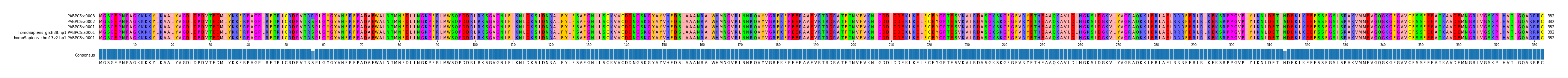 Multiple Alignments (by translate haplotype similarity)