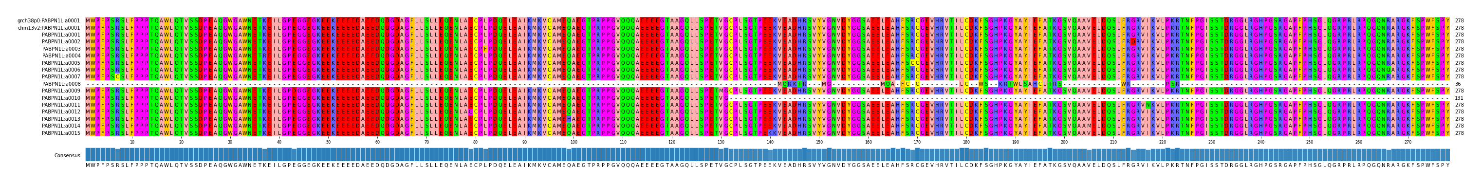 Multiple Alignments (by translate haplotype frequency)