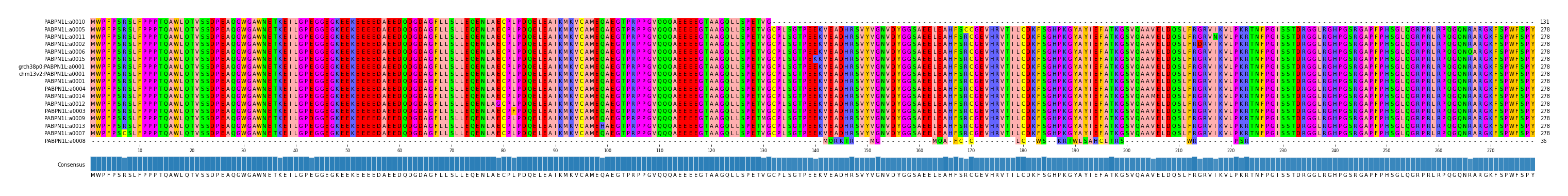 Multiple Alignments (by translate haplotype similarity)