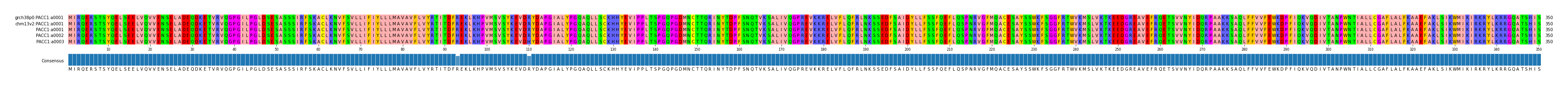 Multiple Alignments (by translate haplotype frequency)