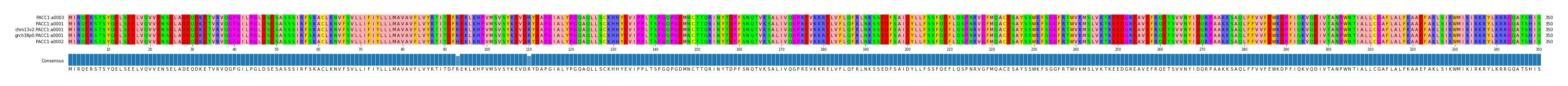 Multiple Alignments (by translate haplotype similarity)