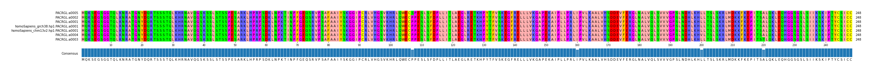 Multiple Alignments (by translate haplotype similarity)