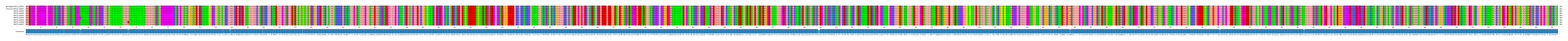 Multiple Alignments (by translate haplotype frequency)