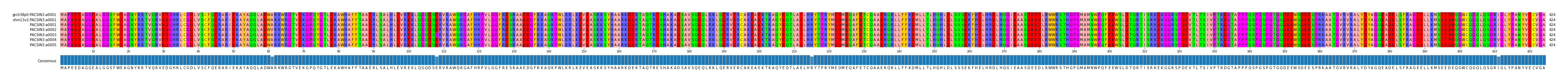 Multiple Alignments (by translate haplotype frequency)