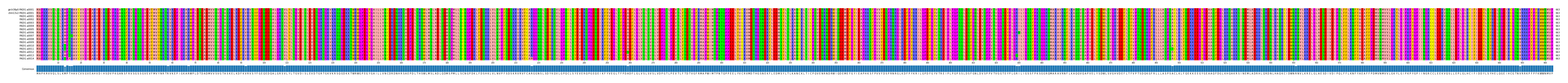 Multiple Alignments (by translate haplotype frequency)