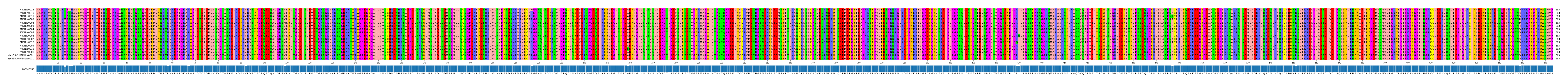 Multiple Alignments (by translate haplotype similarity)
