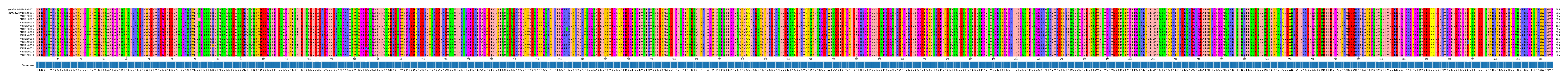 Multiple Alignments (by translate haplotype frequency)