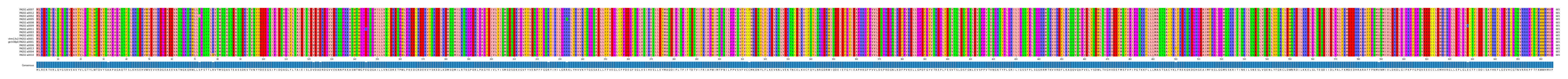 Multiple Alignments (by translate haplotype similarity)