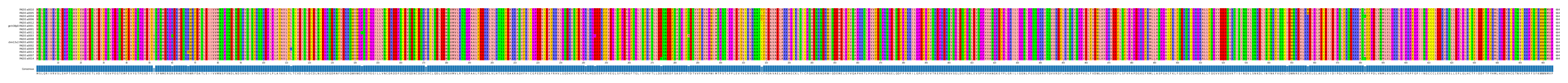 Multiple Alignments (by translate haplotype similarity)