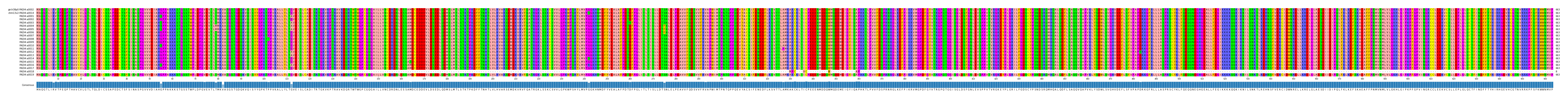 Multiple Alignments (by translate haplotype frequency)
