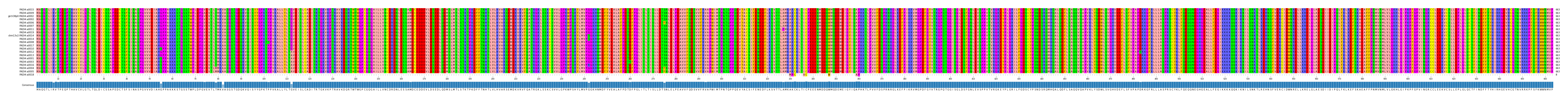 Multiple Alignments (by translate haplotype similarity)