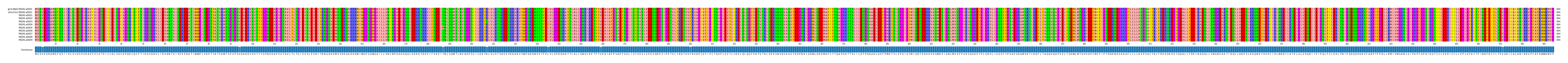Multiple Alignments (by translate haplotype frequency)
