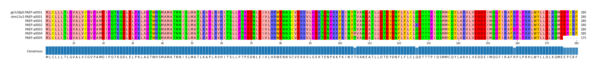 Multiple Alignments (by translate haplotype frequency)