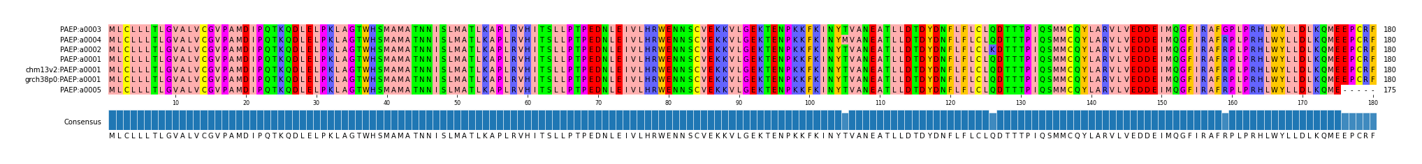 Multiple Alignments (by translate haplotype similarity)