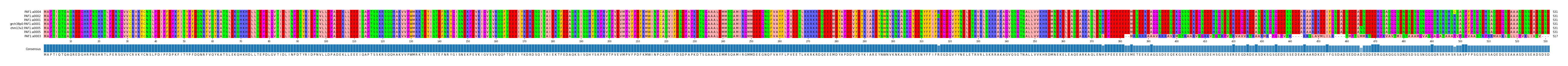 Multiple Alignments (by translate haplotype similarity)