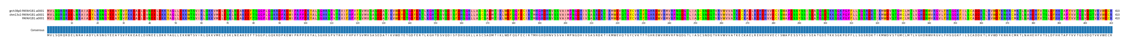 Multiple Alignments (by translate haplotype frequency)