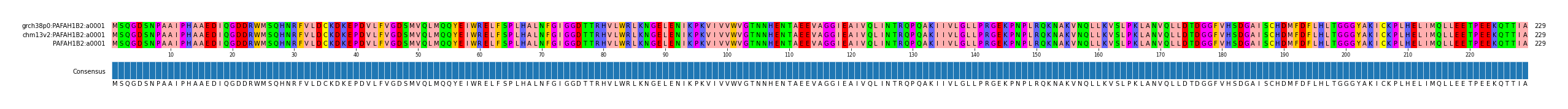 Multiple Alignments (by translate haplotype similarity)