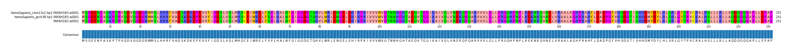 Multiple Alignments (by translate haplotype similarity)