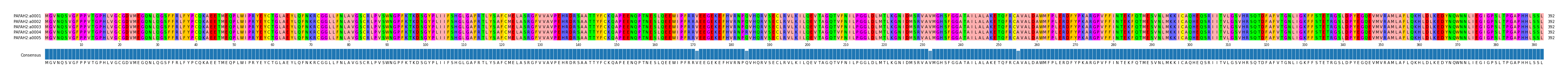 Multiple Alignments (by translate haplotype frequency)