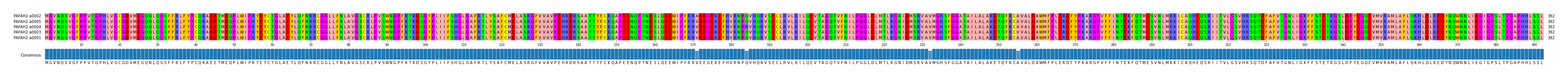 Multiple Alignments (by translate haplotype similarity)