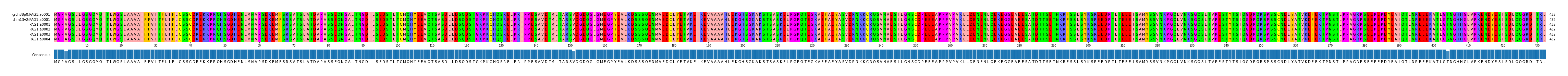 Multiple Alignments (by translate haplotype frequency)