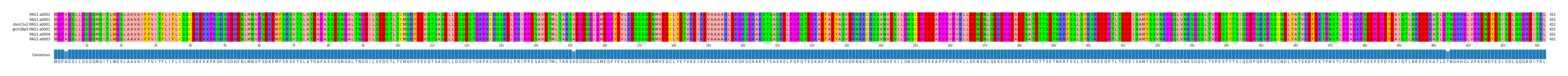 Multiple Alignments (by translate haplotype similarity)