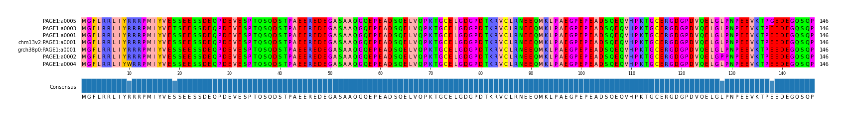 Multiple Alignments (by translate haplotype similarity)