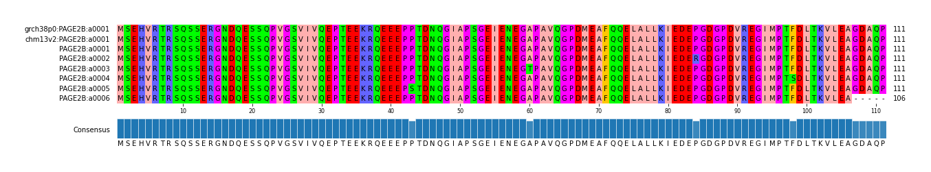 Multiple Alignments (by translate haplotype frequency)