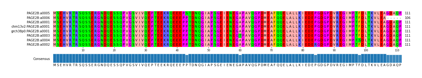 Multiple Alignments (by translate haplotype similarity)