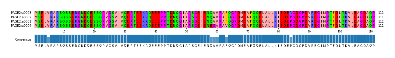 Multiple Alignments (by translate haplotype similarity)
