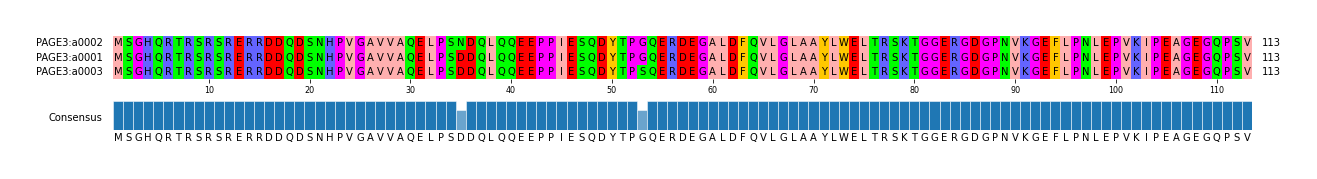 Multiple Alignments (by translate haplotype similarity)