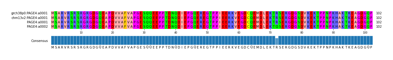 Multiple Alignments (by translate haplotype similarity)