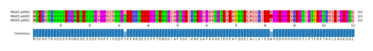 Multiple Alignments (by translate haplotype similarity)