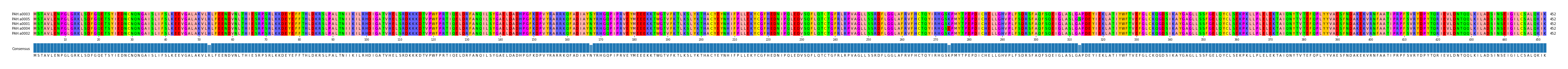 Multiple Alignments (by translate haplotype similarity)