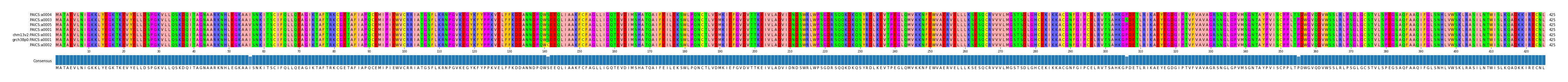 Multiple Alignments (by translate haplotype similarity)