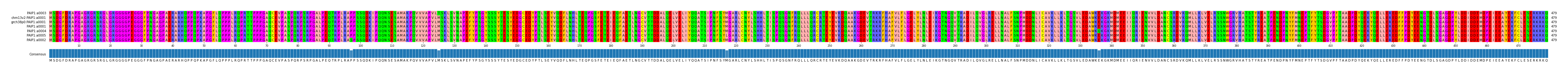 Multiple Alignments (by translate haplotype similarity)