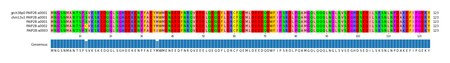 Multiple Alignments (by translate haplotype frequency)