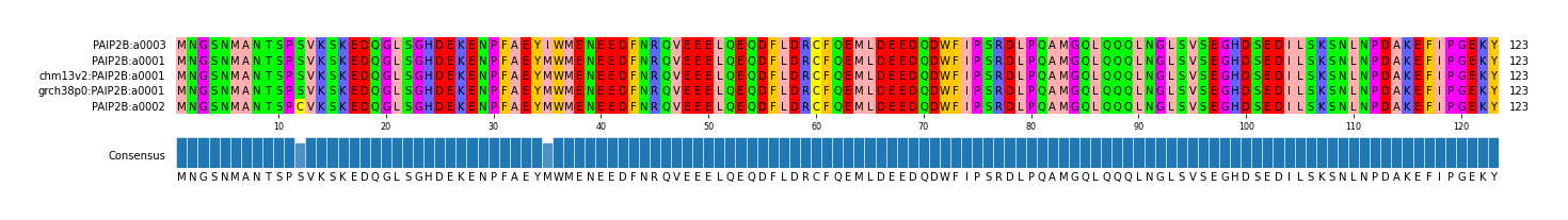 Multiple Alignments (by translate haplotype similarity)