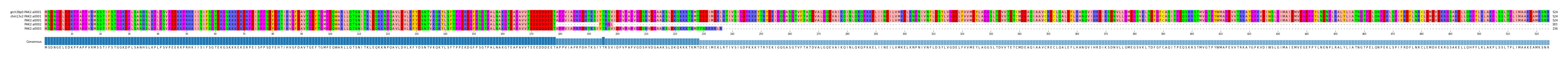 Multiple Alignments (by translate haplotype similarity)
