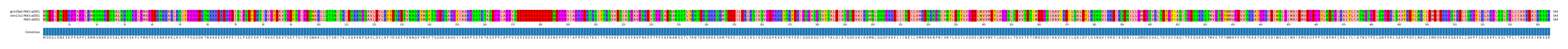 Multiple Alignments (by translate haplotype similarity)