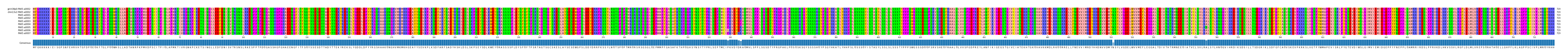 Multiple Alignments (by translate haplotype frequency)