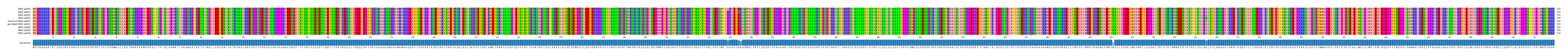 Multiple Alignments (by translate haplotype similarity)