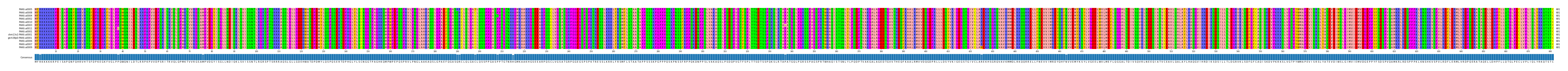 Multiple Alignments (by translate haplotype similarity)