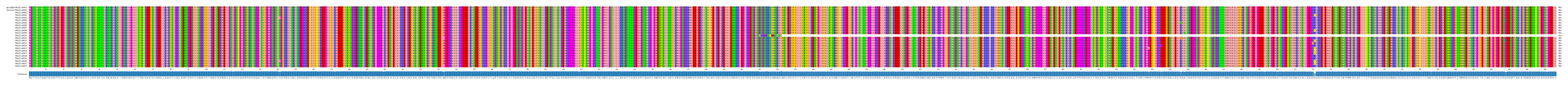 Multiple Alignments (by translate haplotype frequency)
